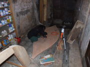 miniras-2007-12-07_16.24.33.jpg
